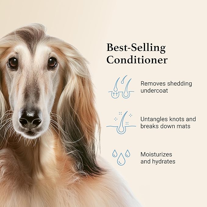 iGroom Deshedding & Detangling Dog Conditioner, Luxury Pet Beauty Care, Loosen Tangles + Unwanted Undercoat, Adds Shine + Volume, Made in USA (16 OZ)