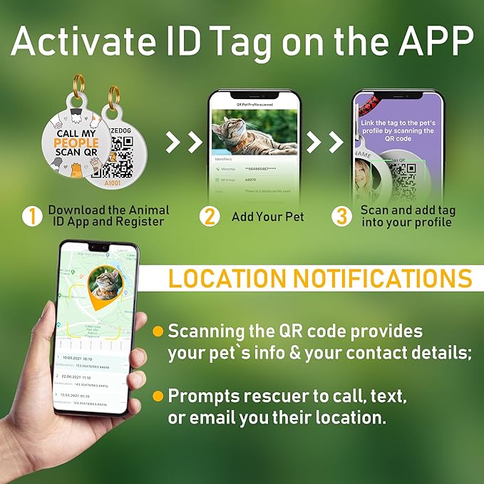 BRONZEDOG Leather Cat Collar with Removable Bells Non Breakaway Kitten QR Tag for Girl Boy (9" - 12" Cats/Mini Dogs, Black & Silver)