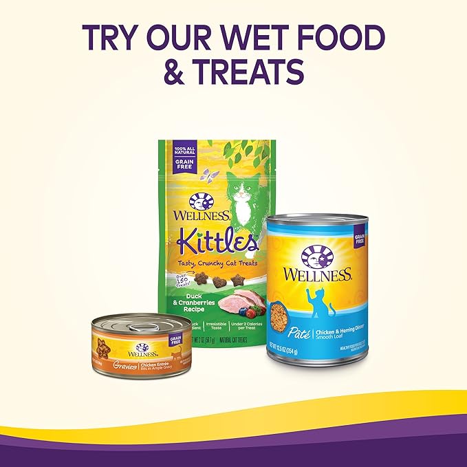 Wellness Complete Health Adult Dry Cat Food for Indoor Cats, Grain Free, Natural, Salmon and Herring Meal (11.5 Pound Bag)