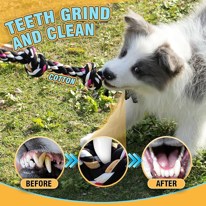 Dog Rope Toys with 18 pcs for Teething, Entertainment & Interaction, Dog Chew Toys, Training Tug Balls and Squeaky Toys for Medium&Small Puppies.