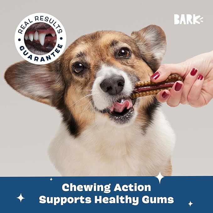 Barkbox Bright Durable Dental Kit, 15 Chew Sticks & Toothpaste - Medium Breeds (Berry Mint Flavored)