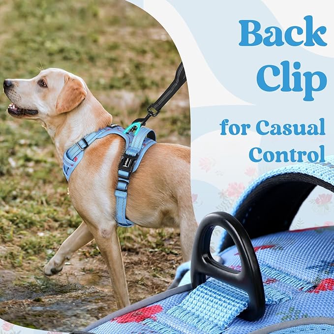 rabbitgoo Dog Harness Small Sized, No Pull Pet Harness with 3 Buckles, Adjustable Soft Padded Vest with Control Handle, Walking Reflective Pet Vest for Small Dogs, Floral Blue, S