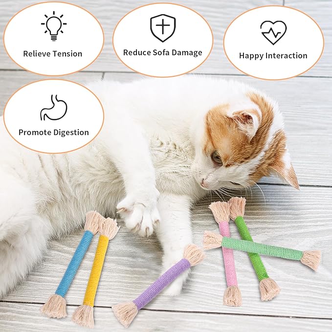 Retro Shaw Cat Toys Ropes with Catnip 6Pcs, Safe Teething Cleaning Kitten Toys for Indoor Cats Kitty, Interactive Cat Nip Chew Toys Kicker