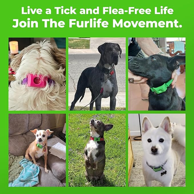 FurLife Black Dog Tag, Flea and Tick Prevention for Dogs - Waterproof Pendant for Collar, Safe for All Breeds
