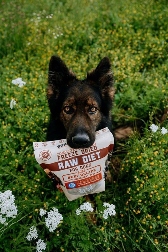 Boss Dog Complete & Balanced Freeze Dried Raw Diet for Dogs, Beef Recipe, 12 oz Bag