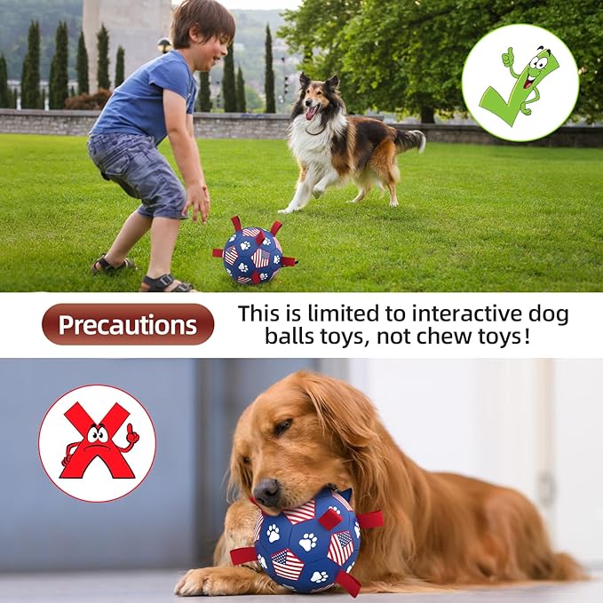 QDAN Dog Toys, Soccer Ball with Straps, Durable Dog Balls for Small Medium, Beach Pool Dog Water Toy (6 Inch)