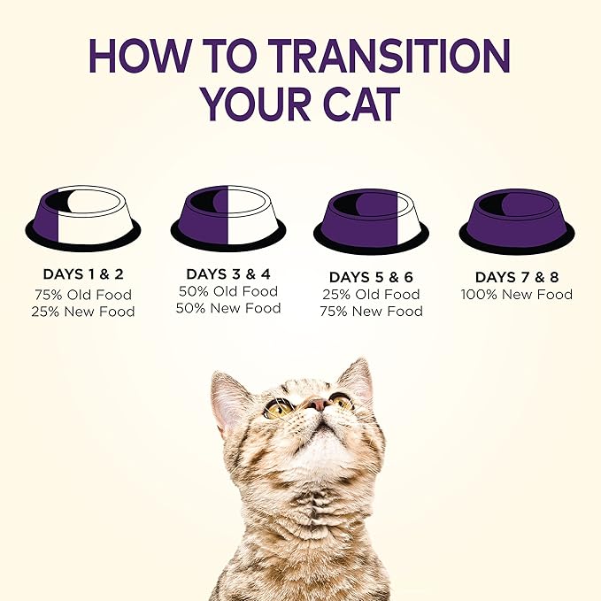 Wellness Complete Health Adult Dry Cat Food for Indoor Cats, Grain Free, Natural, Salmon and Herring Meal (5.5 Pound Bag)