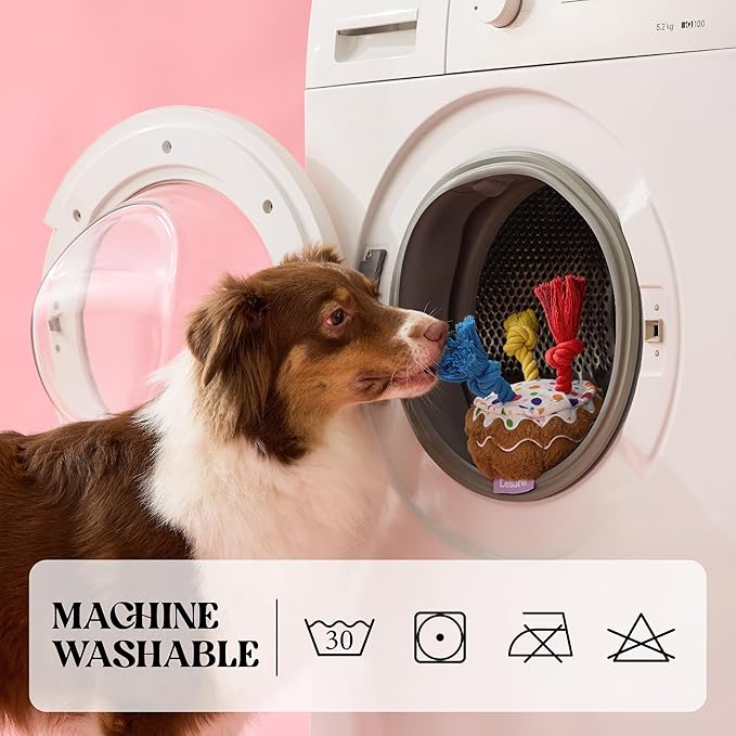 LE SURE Dog Birthday Cake Toy - Cute Squeaky Dog Birthday Toy for Gentle Chewers with Interactive Tug Rope, Plush Interactive Toy for Adult Dogs Birthdays Party, Standard, Milk Chocolate