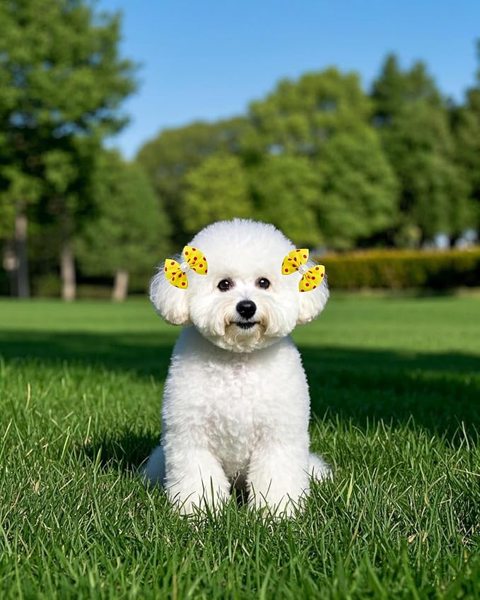 PET SHOW 20 Pack Dot Dog Hair Bows with Alligator Clips for Small Medium Dogs Bowknot Hair Clips Cat Puppy Yorkshire Rhinestone Grooming Hair Accessories for Birthday Party