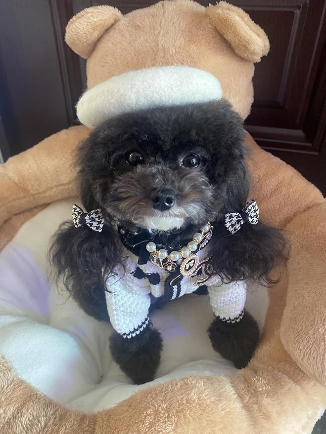 Dog Beret Hats Cats Hats Fashion Four Seasons Funny Wool Winter Pet Hat (White)