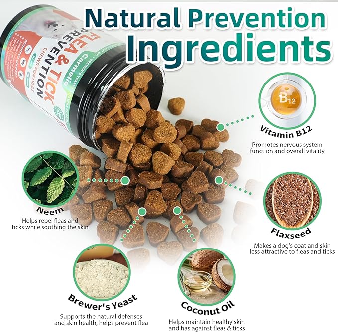 Flea and Tick Prevention for Dogs Chewables - 200 Soft Chews Natural Dog Flea and Tick Chewables, Oral Flea Supplement for Dogs, Puppy Flea Support - All Breeds & Ages - Chicken Flavor