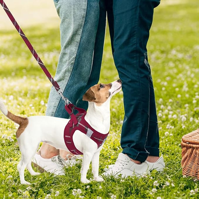 PUPTECK Adjustable Dog Harness Collar and Leash Set Step in No Pull Pet Harness for Small Medium Dogs Puppy and Cats Outdoor Walking Running, Soft Mesh Padded Reflective Vest Harnesses, Red XS