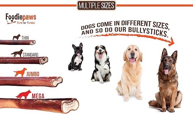 FOODIEPAWS 6 Inch Jumbo Bully Sticks for Dogs, 20 Pack | All Natural, Grass-Fed Beef Pizzle | Rawhide-Free, Odor-Free, Fully Digestible & Long Lasting Dog Chews | For Large Breeds & Aggressive Chewers