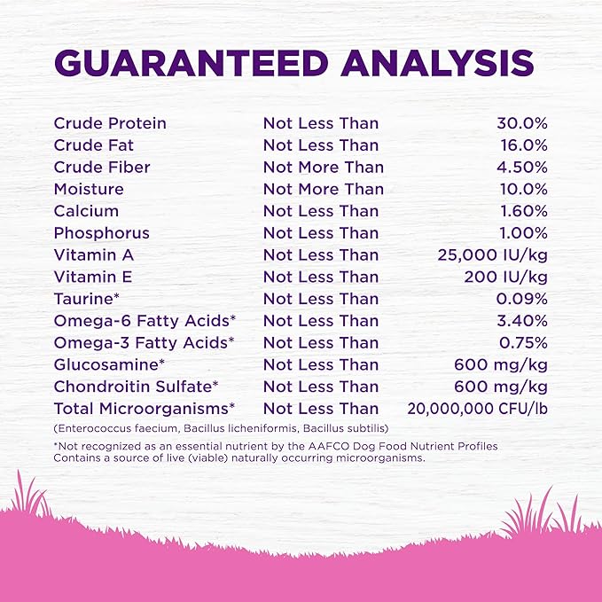 Wellness Complete Health Dry Dog Food for Small Dogs, Toy Breed, Wholesome Grains, Natural, Chicken, Brown Rice, & Peas Recipe, 4-Pound Bag