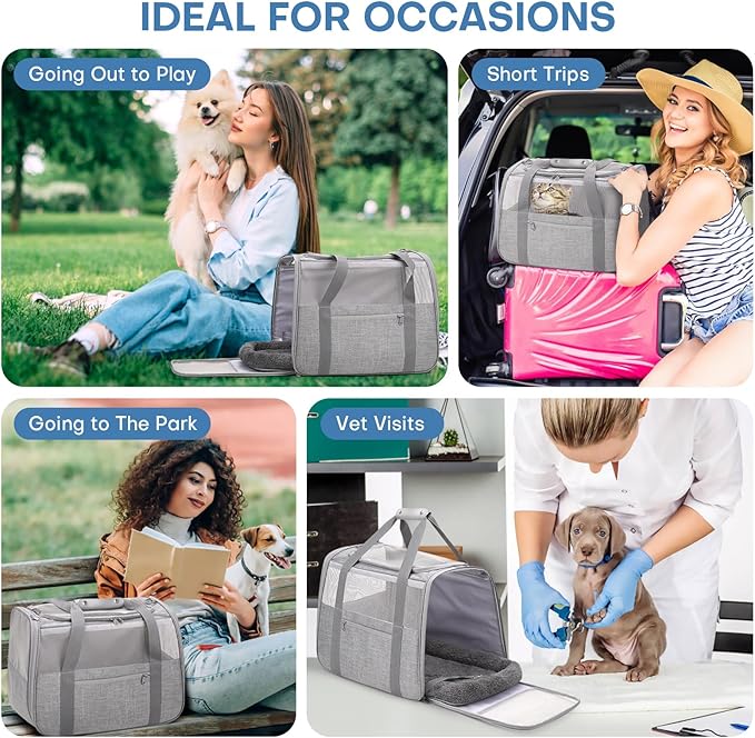 JUNGYOUN Premium Cat Carrier - Pet Carrier for Cat & Small Dogs up to 15lbs - Airline Approved Travel Dog Carrier with Anti-Escape Zippers, Collapsible Travel Bowl & Padded Strap