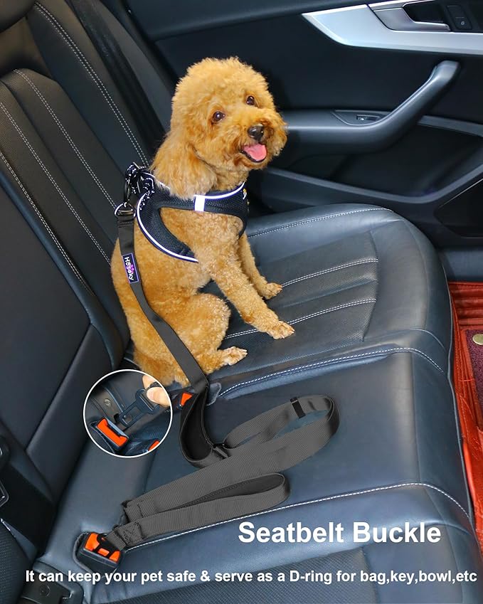 Hotsky Heavy Duty Dog Leash,4.5-6 FT Adjustable Durable Nylon Seatbelt Lead with Two Padded Traffic Handle and Carabiner for Large Medium and Small Breed Dogs,Black