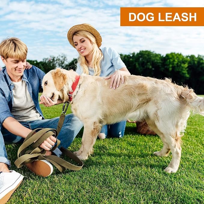 Heavy Duty Locking Carabiner Clips - Favofit 12KN (2697 lbs) Clips 3.2'' Small D Ring for Camping Hammock Hiking Dog Leashes Keychains - Perfect for Outdoor Enthusiasts