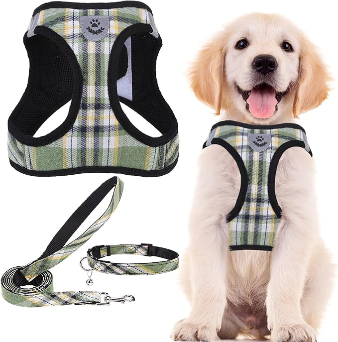 PUPTECK Adjustable Dog Harness Collar and Leash Set Step in No Pull Pet Harness for Small Medium Dogs Puppy and Cats Outdoor Walking Running, Soft Mesh Padded Reflective Vest Harnesses, Grn&YLW, S