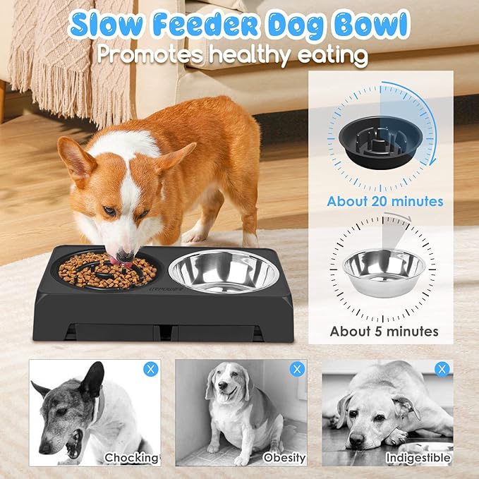 URPOWER Raised Slow Feeder Dog Bowls 4 Height Adjustable Elevated Bowl Stand with Stainless Steel Water Bowl and Slow Feeder Non-Slip Dog Food Bowls Stand for Small Medium Large Dogs and Pets
