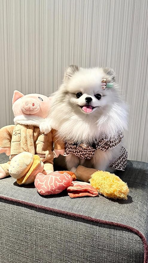 Nocciola Stuffed Pig Dog Toys: Funny Squeaky Crinkle Dog Chew Toys for Small Medium Breed, Plush Puzzle Cognitive Training Pet Enrichment Supplies, Burrow Hide Seek Mental Stimulation Anxiety Relief