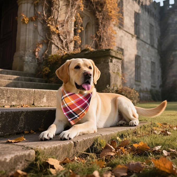 ADOGGYGO Fall Dog Bandanas 2 Pack, Premium Cotton Fabric, Orange Plaid Holiday Pet Scarf, Fall Thanksgiving Halloween Bandanas for Medium Large Dogs (Large)