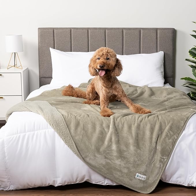 PetAmi Waterproof Dog Blanket for Medium Large Dogs, Pee Proof for Bed Couch, Reversible for Puppy Indoor Cat, Soft Dog Pee Crate Cover Washable, 60x80 Taupe