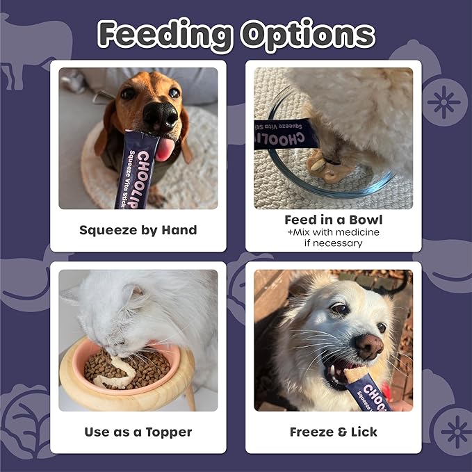 Choolip Squeeze Vita Stick Lickable Cat Treats & Dog Puree – 49-Count Brain Support Tubes, Creamy Grain-Free High-Protein Puree with DHA, Omega 3 & Vitamin B12 for Memory & Cognitive Health