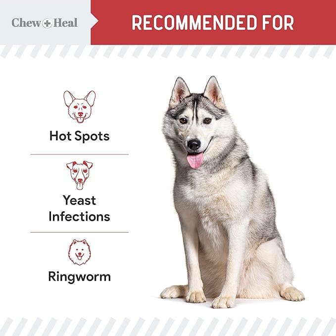 Dog Paw Wipes Antibacterial 50 Count - Antifungal Wipes for Dogs with 2% Chlorhexidine and 1% Ketoconazole - Good for All Breeds - Made in The USA