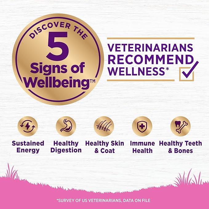 Wellness Complete Health Dry Dog Food for Small Dogs, Toy Breed, Wholesome Grains, Natural, Chicken, Brown Rice, & Peas Recipe, 4-Pound Bag