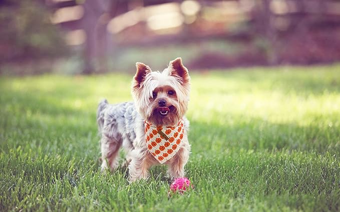 Lionet Paws Halloween Dog Bandana Washable Cotton Handkerchief Scarf Triangle Orange Pumpkin Bandana for Small Medium Large Dogs Girl Boy