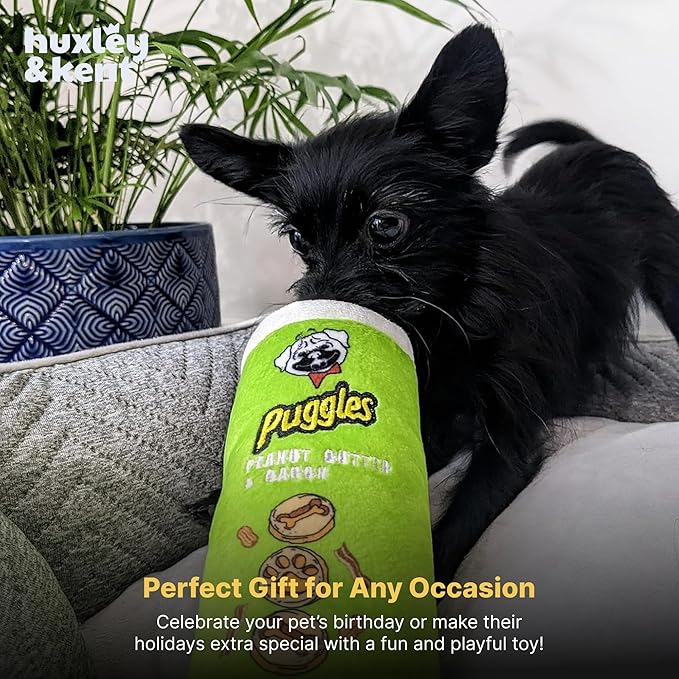 Huxley & Kent Funny Dog Toy w/Squeaker – Power Plush Squeaky Dog Toys for Small, Medium & Large Dogs – Soft Stuffed Animal for Indoor Play & Fetch - Puggles Can, Large