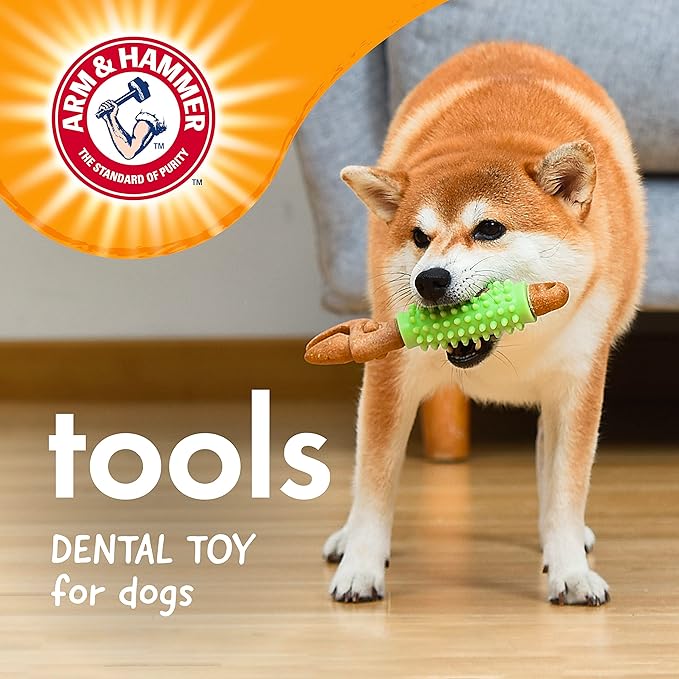 Arm & Hammer for Pets Chew Tools Collection: Wood Blend Wrench Chew Toy for Dogs | Compressed Wood Dog Chew Toys with Baking Soda, Safer & Durable Alternative to Chewing Sticks 8 Inch