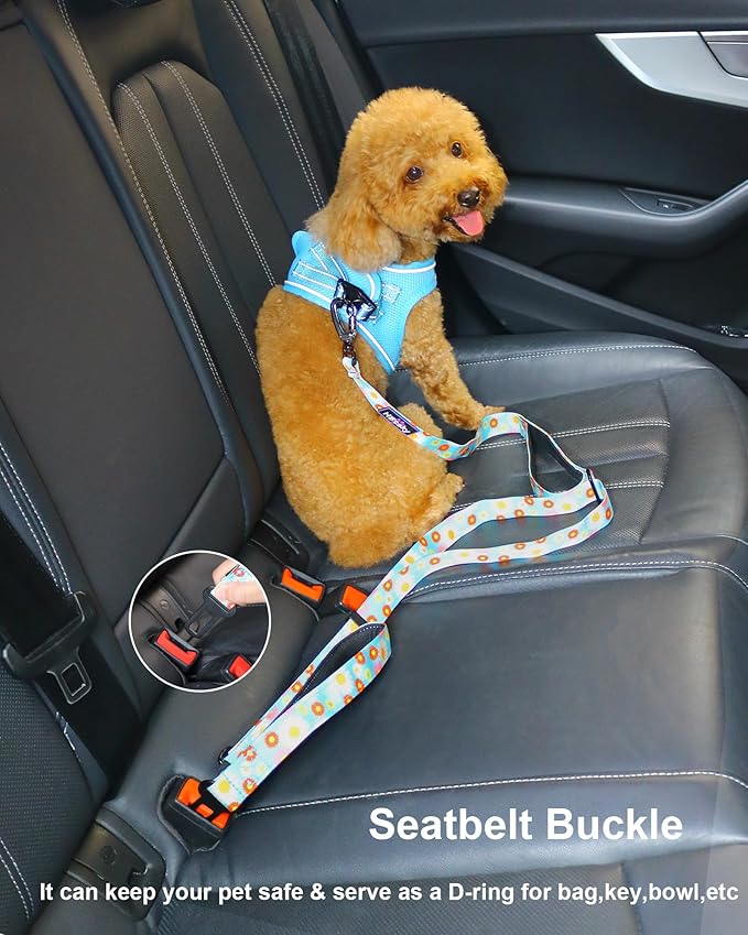 Hotsky Heavy Duty Dog Leash,4.5-6 FT Adjustable Durable Nylon Seatbelt Lead with Two Padded Traffic Handle and Carabiner for Large Medium and Small Breed Dogs,Daisy