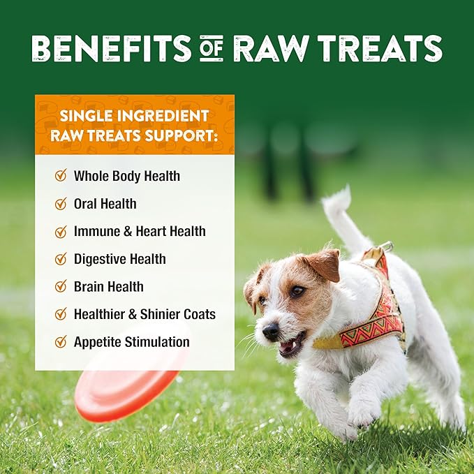Northwest Naturals Raw Rewards Freeze-Dried Cheddar Cheese Treats for Dogs and Cats - Bite-Sized Pieces - Healthy, 1 Ingredient, Human Grade Pet Ingredients, All Natural, Proudly Made in USA, 6 Oz