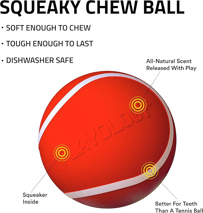 Playology Dog Toys | Squeaky Chew Ball - Bouncy Durable Floating Fetch Ball for Dogs | Jumbo Beef Scented Toy - Easy to Clean and Made from Non Toxic Materials