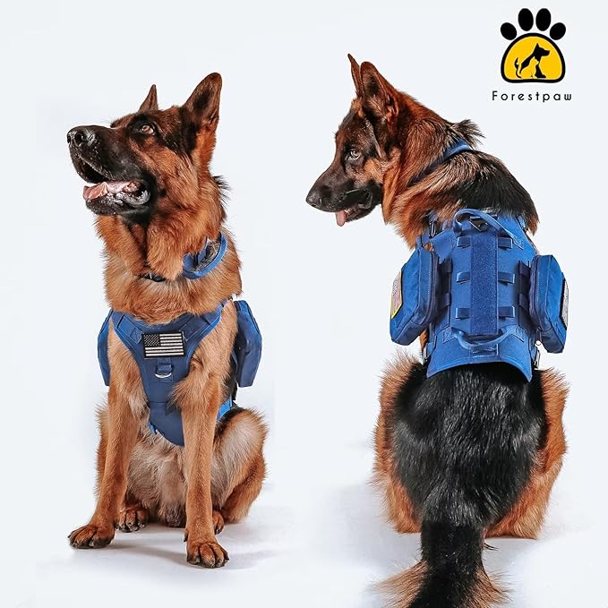 Forestpaw Tactical Dog Harness for Large Dogs,Tactical Dog Collar with Bungee Leash Set,No Pull Military Dog Harness for Walking Training,Adjustable for Medium Large Dogs,Blue,Chest 21.5-45"