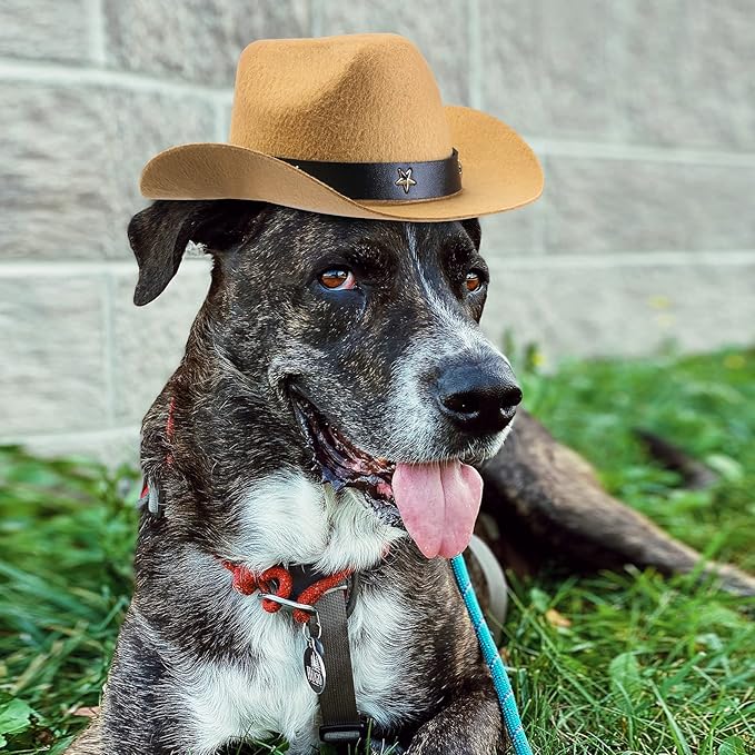 Yewong 3 Pieces Pet Hat Pet Formal Top Hat Mexico Sombrero Hat Cowboy Hat Dog Cat Pet Costume Hat for Halloween Party Photo Props Supplies one Size