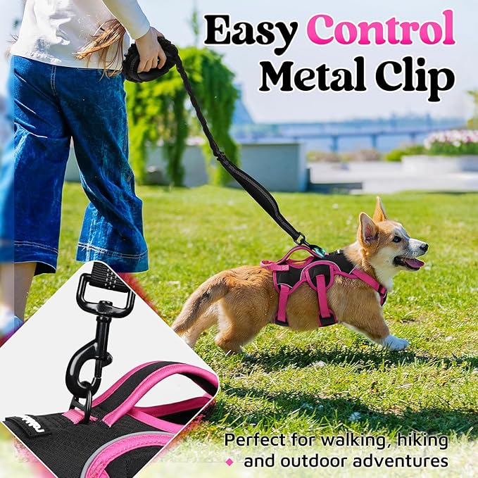 rabbitgoo Escape Proof Dog Harness Small Sized Dog, Soft Padded Full Body Pet Harness, Reflective Adjustable Vest with Lift Handle and Leash Clip for Walking Hiking Training, Pink & Black, S