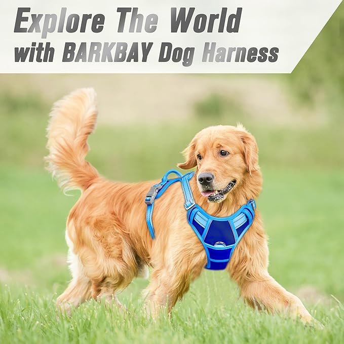 BARKBAY No Pull Dog Harness Front Clip Heavy Duty Reflective Easy Control Handle for Large Dog Walking(Sapphire Blue & Blue,M)