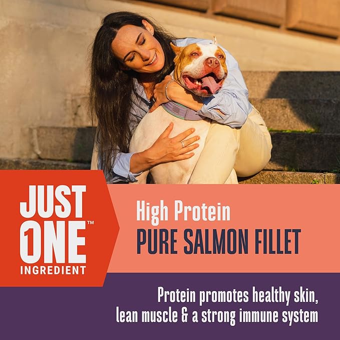 Whole Life Dog Just One Salmon Freeze Dried Dog Treats - Human Grade High Protein Food, Healthy Training Snacks, Freeze Dried Salmon Food Toppers, USA Made Natural Treats - 2 oz (Value Pack of 1)