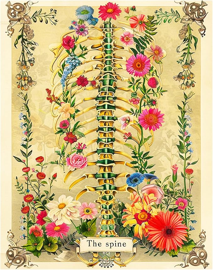 Spine Skeleton Jigsaw Puzzle Human Anatomy Flower 1000 Pieces Puzzles Game Human Skull Floral Puzzles for Adults Home Decor Family Puzzle Perfect for Game Nights Ideal Gift Choice 20 x 27 Inch