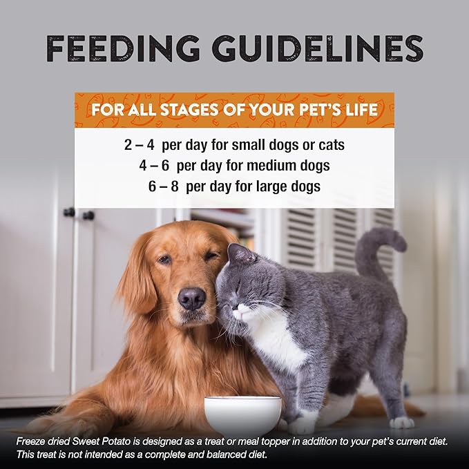 Northwest Naturals Raw Rewards Freeze-Dried Sweet Potato Treats for Dogs and Cats - Bite-Sized Pieces - Healthy, 1 Ingredient, Human Grade Ingredients, All Natural, Proudly Made in USA, 2 Oz