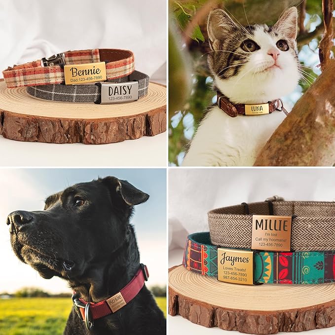 Anavia Slide On Silent Pet ID Tags, S/M/L/XL Personalized Stainless Steel Cat Dog Tag with Elastic Fabric Band, Engraved Nameplate Quiet Chew-Proof Pet Collar Tag (Gold, Large)