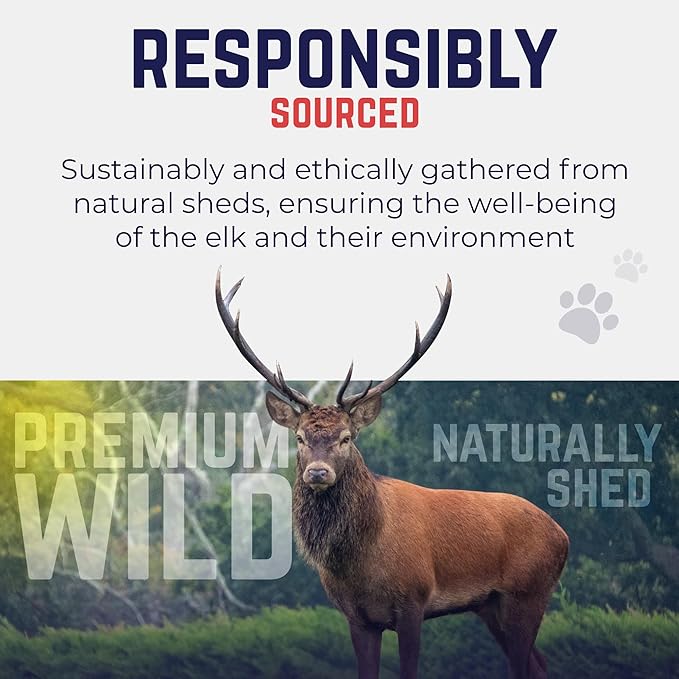 Devil Dog Pet Co. Elk Antlers for Dogs, Petite 3.5"+, 6 Pack, Grade A Long Lasting Chew for Aggressive Chewers, Premium USA Naturally Shed Antler – Healthy, No Odor, Durable Dog Chew