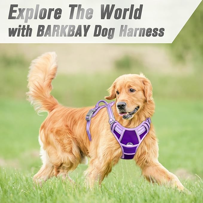 BARKBAY No Pull Dog Harness Front Clip Heavy Duty Reflective Easy Control Handle for Large Dog Walking(Violet Purple & Purple,M)