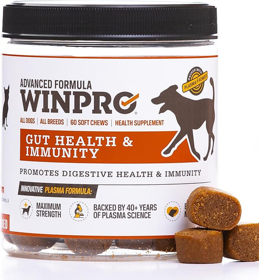 WINPRO Dog Gut Health Supplements – Plasma-Powered Chews for Dog Immune Support & Digestive Health, Fast-Acting Solution for Gut Health for Dogs of All Breeds & Sizes, 60 Count, Made in USA