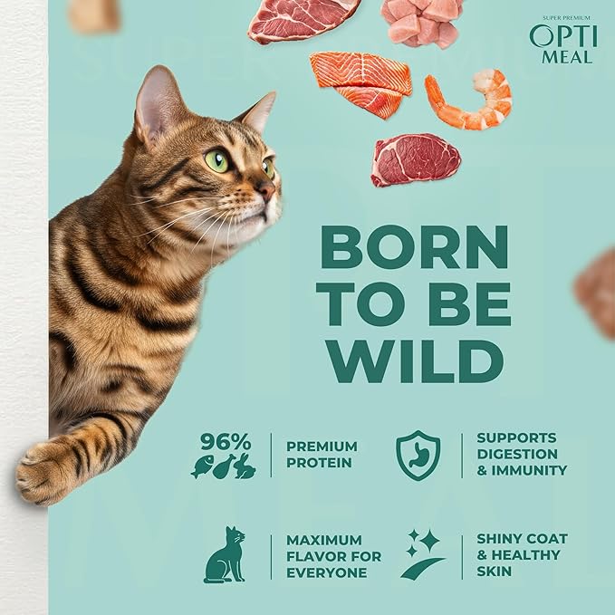 Optimeal Wet Cat Food Variety Pack - Grain Free Tender Morsels, High Protein Premium Nutrition Made with Natural European Ingredients in Savory Gravy, Adult Cat Food Wet Pouches 3oz Pouch (Pack of 12)