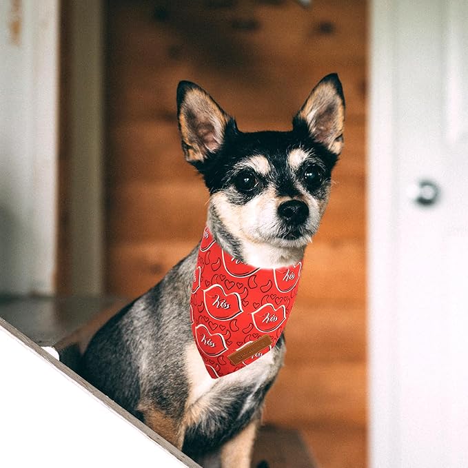 Realeaf Valentine's Day Dog Bandanas 2 Pack, Reversible Heart Dog Scarf for Boy and Girl, Premium Durable Fabric, Holiday Love Bandana for Medium and Large Dogs Pets (Large)