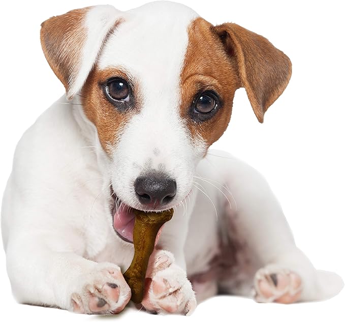 Nylabone Healthy Edibles WILD Natural Dog Chew Treats, Bison Flavor, Small Dogs Up to 20 lbs - Long Lasting Healthy Chew Bones Made in USA (8 Count)