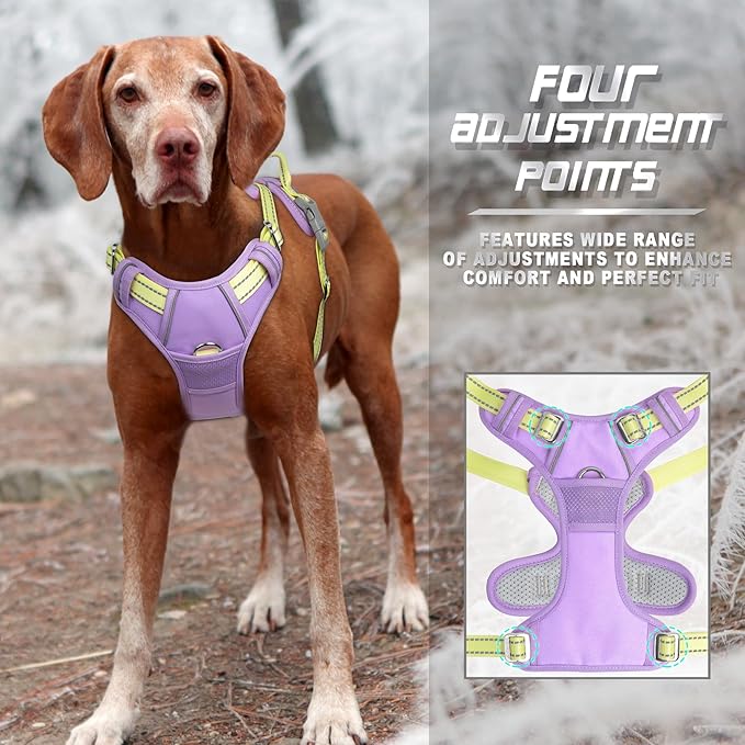 BARKBAY No Pull Dog Harness Front Clip Heavy Duty Reflective Easy Control Handle for Large Dog Walking(Violet Purple & Sunlight,L)